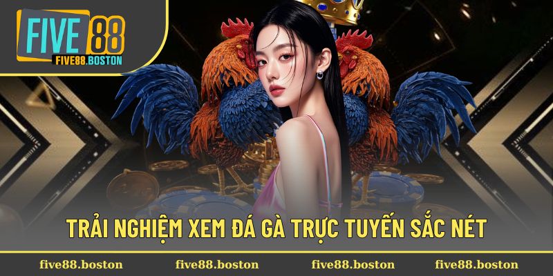 Trải nghiệm xem các lượt trận đá gà cực sắc nét